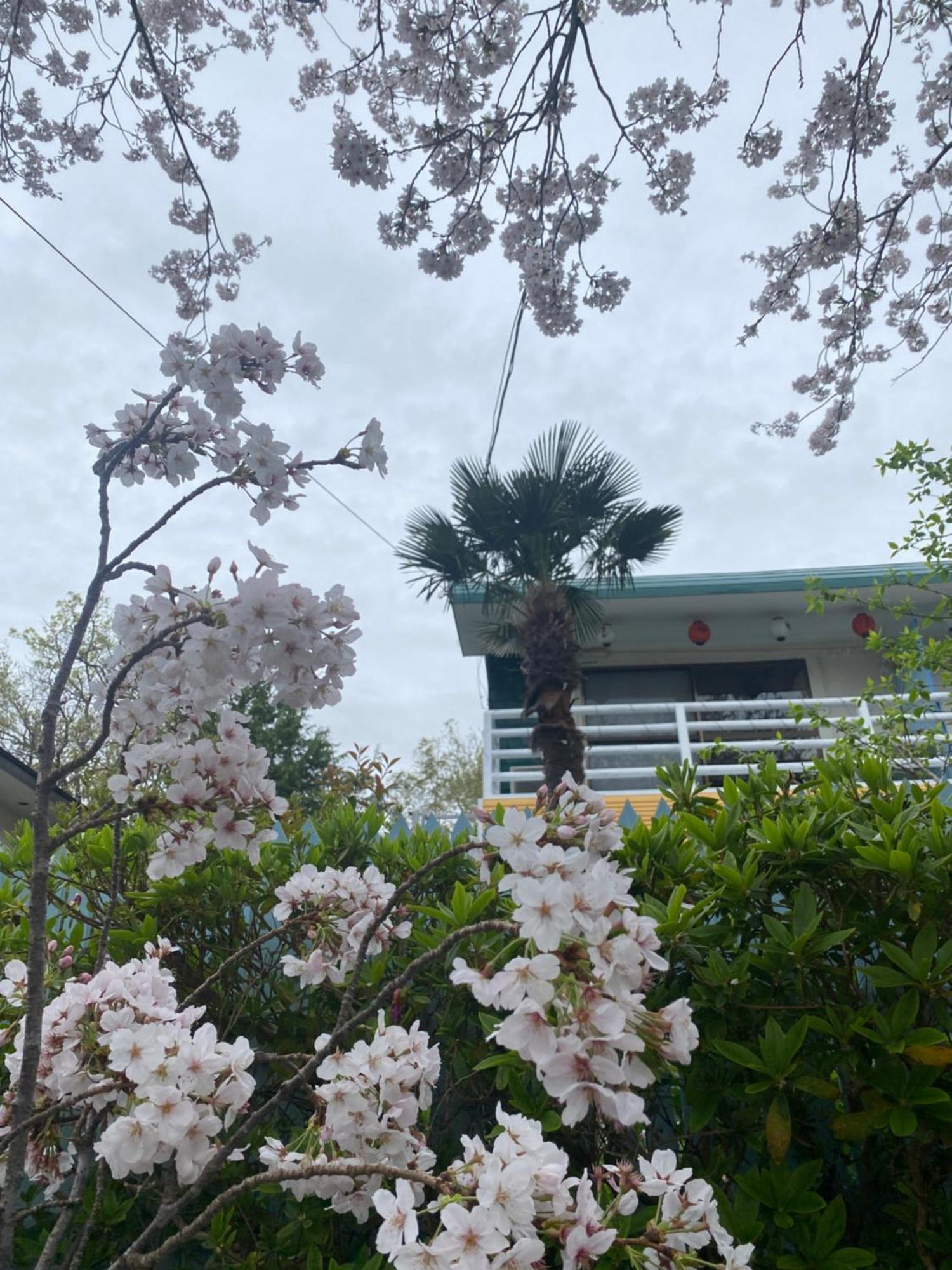 Hanamizuki Onsen Resort Ito  Exterior foto